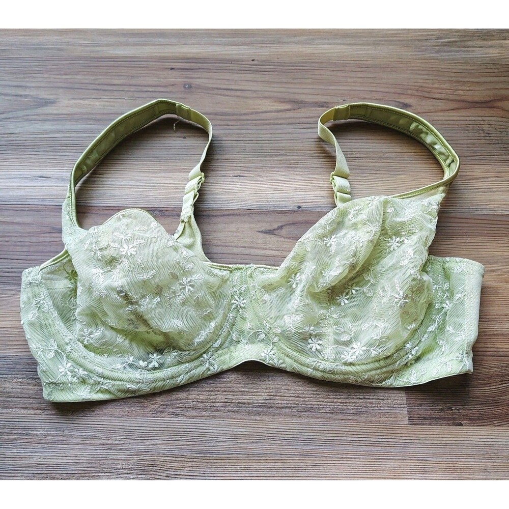Natori Bra 36D Green Floral Embroidered Mesh Underwire Coquette Fairy Cottage
